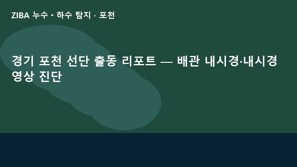 경기 포천 선단 출동 리포트 — 배관 내시경·내시경 영상 진단