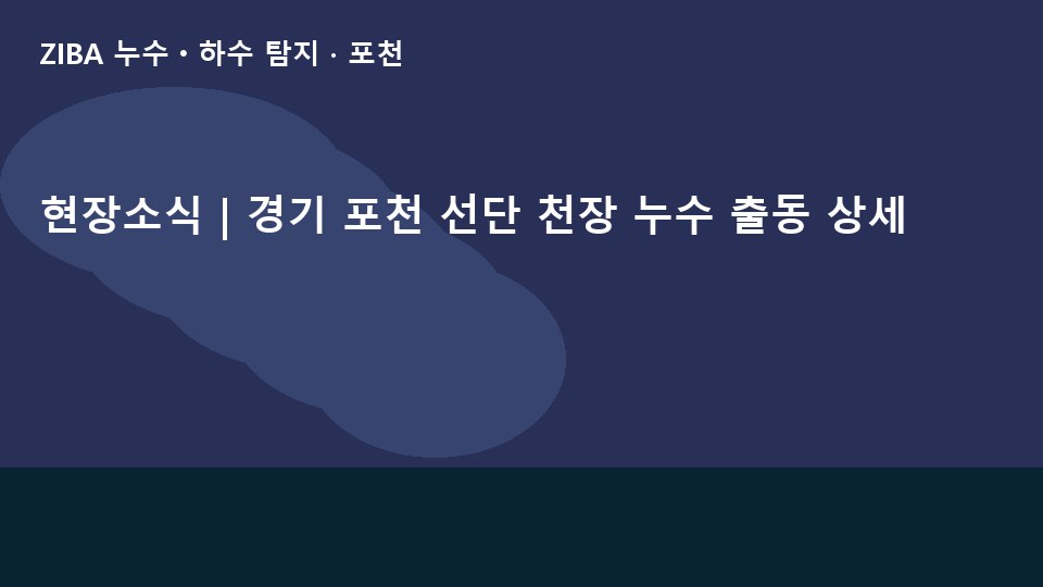 현장소식 | 경기 포천 선단 천장 누수 출동 상세