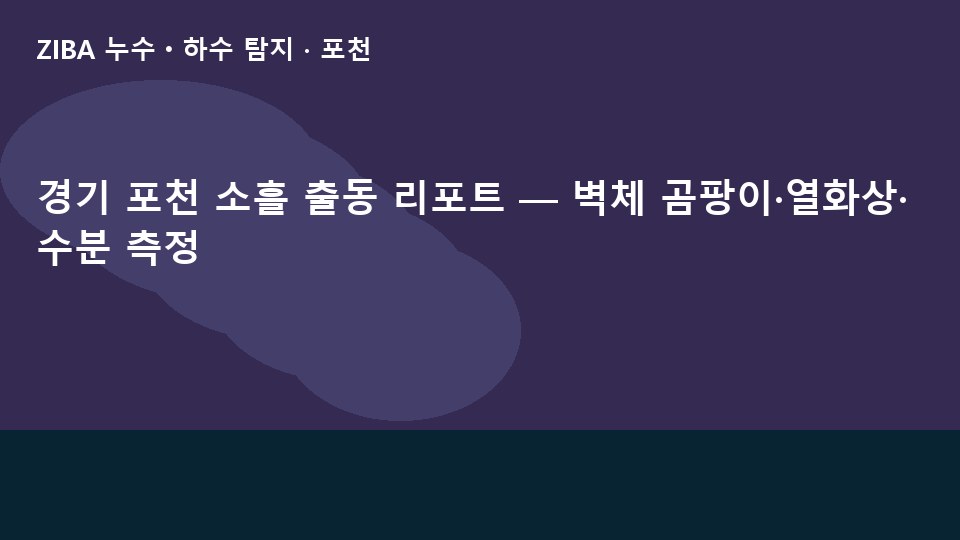 경기 포천 소흘 출동 리포트 — 벽체 곰팡이·열화상·수분 측정